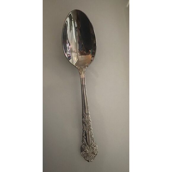 Reed & Barton RENAISSANCE Stainless Flatware 18/10 Silverware SERVING SPOON - Picture 1 of 6